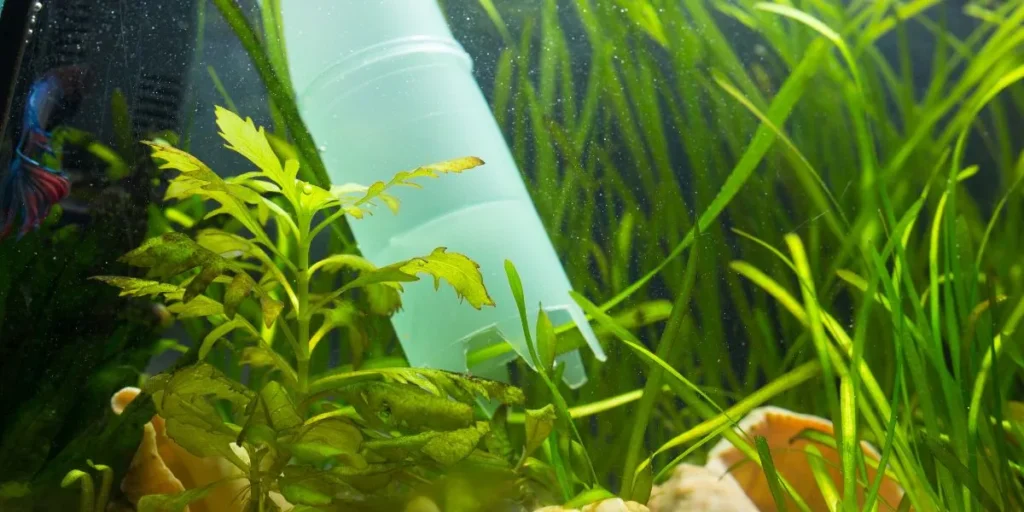Why Are Air Pumps Necessary for Aquariums?