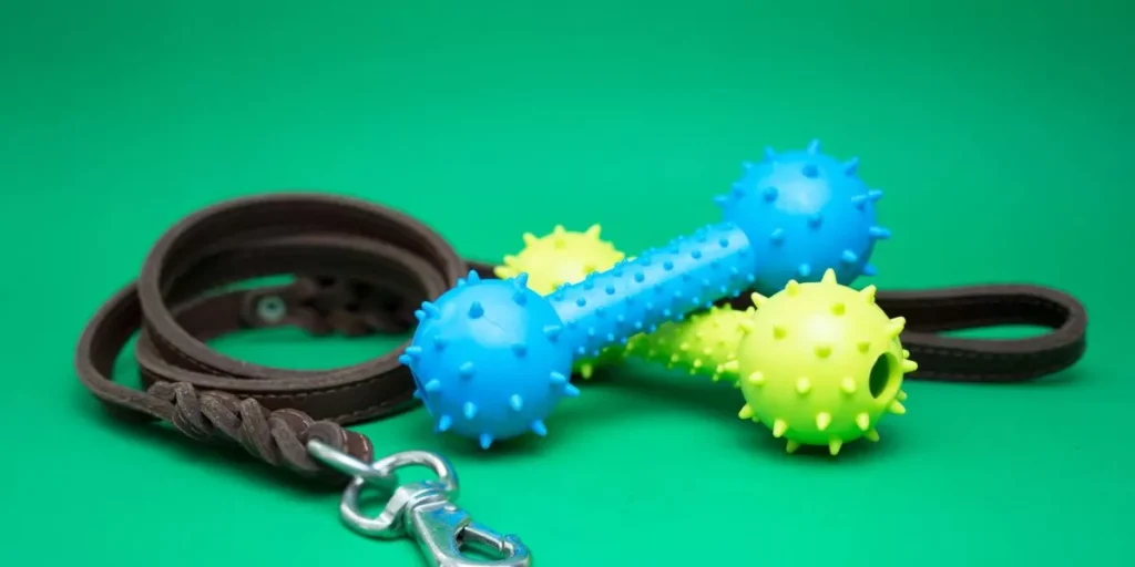 Eco-Friendly Innovations in Cat Supplies