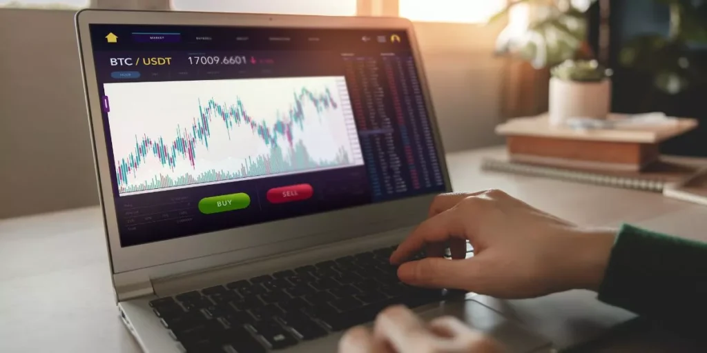 Which Laptops Offer the Best Display Quality?